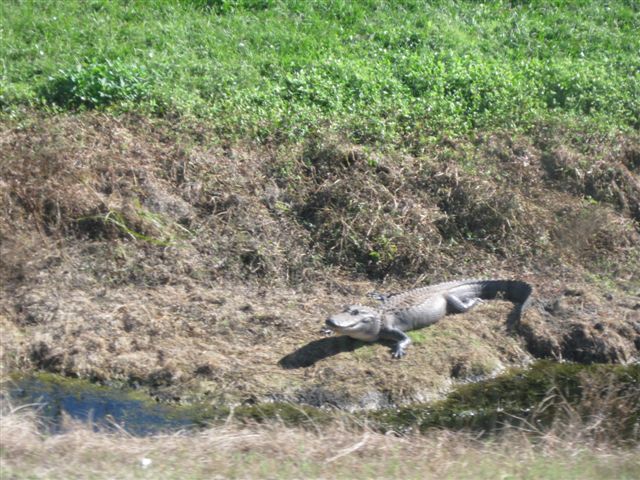 アップロードファイル 9-1.jpg